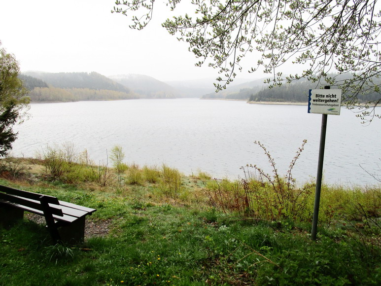 Eckerstausee