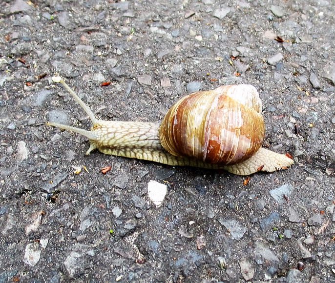 Sie war schneller als ich....
