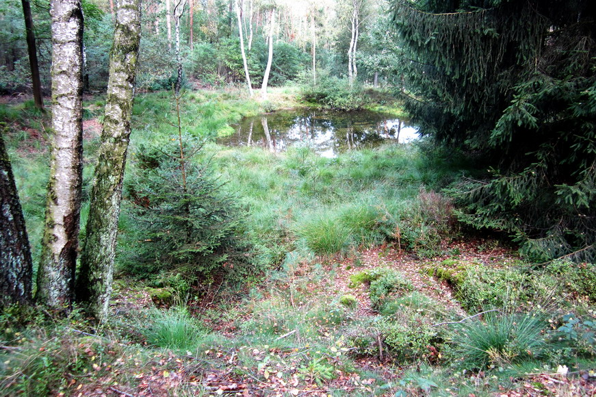 Luhe-Quellteich