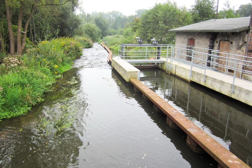 die Böhme in Soltau